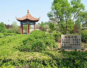 廠景廠貌